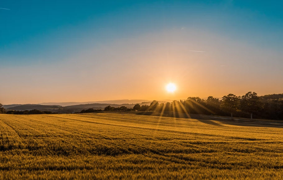 Farm Property