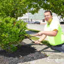 Goodwill Groundskeepers