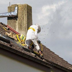 Residential & Commercial Beehive Removal