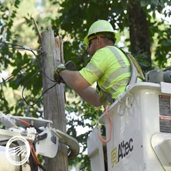 ELECTRIC SERVICES