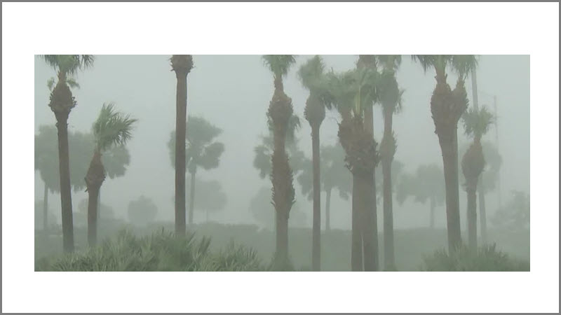 Disaster Solutions