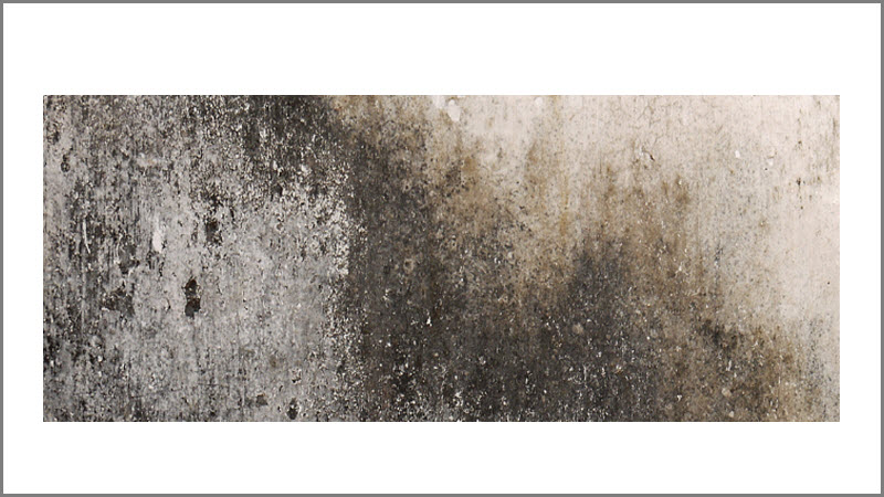 Commercial Fire and Smoke Damage