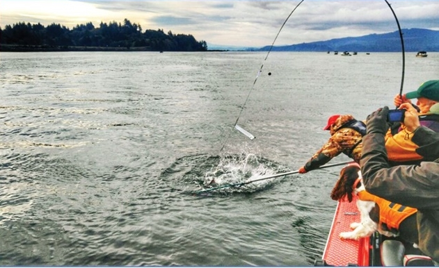 Defending Columbia River Gillnet Reforms