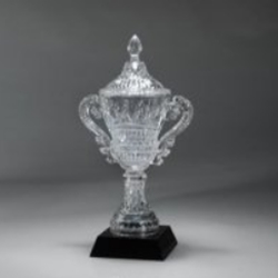 Cup Trophy Awards