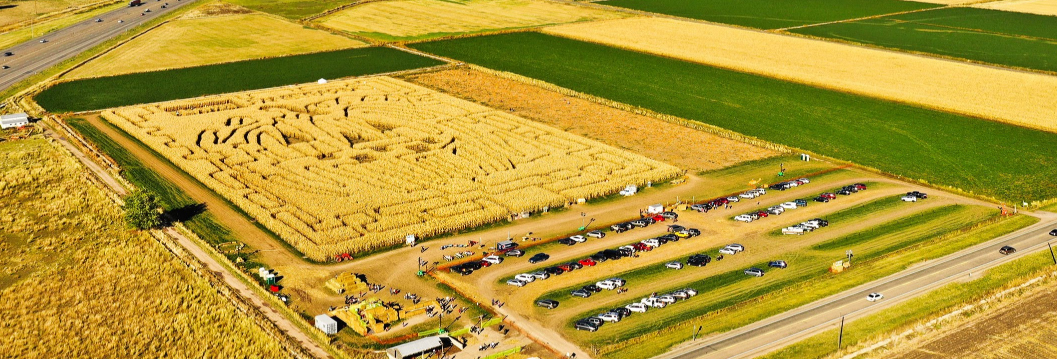 Corn Maze