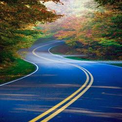  Asphalt & Heavy Products