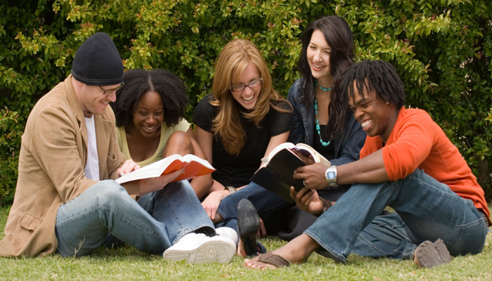 Team Building, Retreats or Workshops
