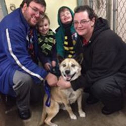 Pets for Adoption