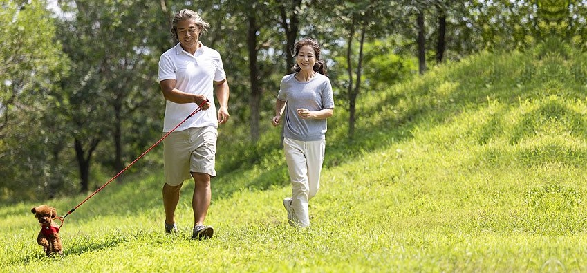 Orthopedics