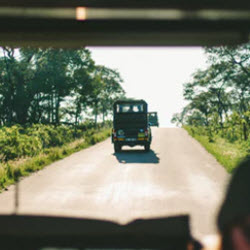 Natural Gas Vehicles