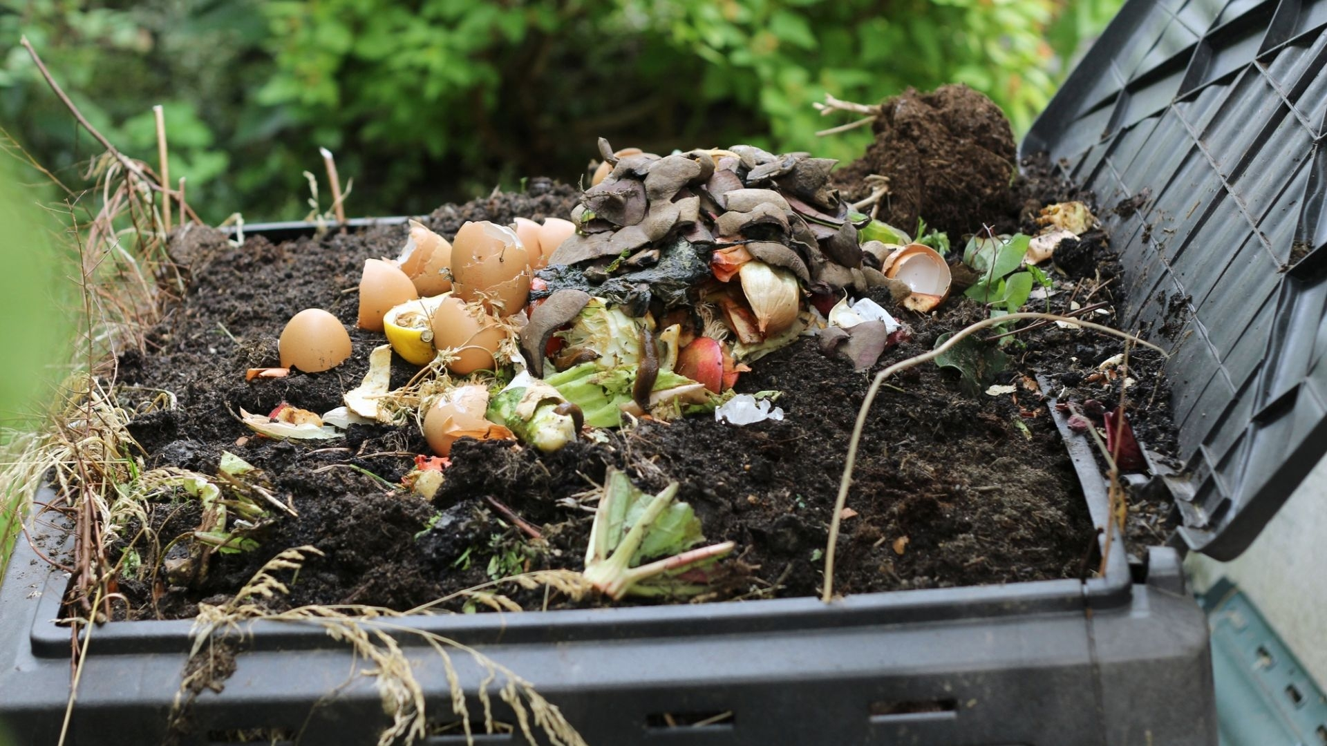 Compost