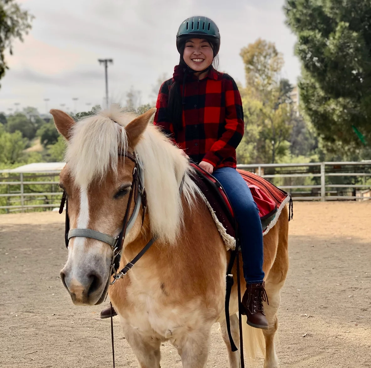 Equine Assisted Riding