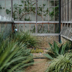 Home Glass Services