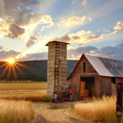 Farm