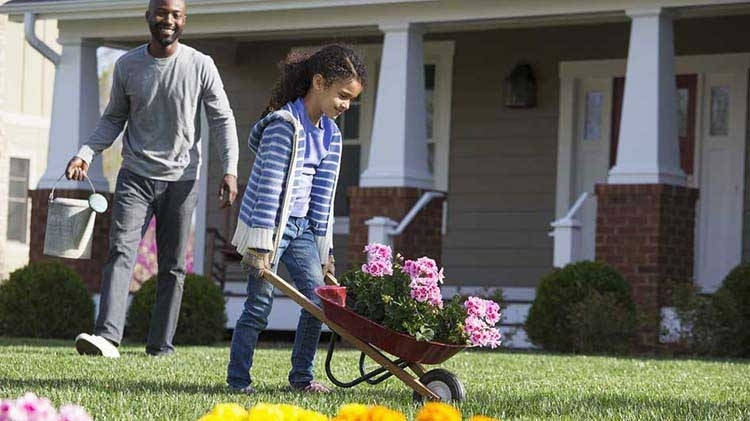 Homeowners Insurance
