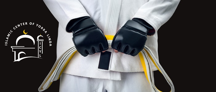 Mixed Martial Arts