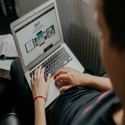Web development