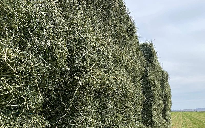 Retail Hay for Sale