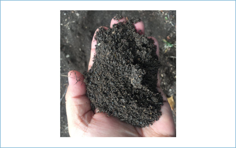 Biofertilizer
