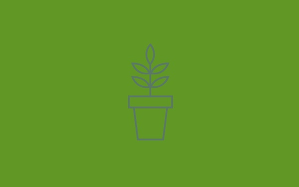 Find your Personal Plant 