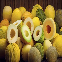 Turlock Melons