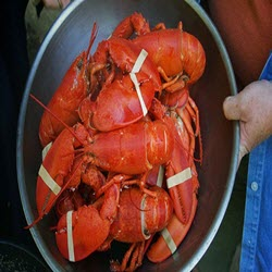 Seaview Maine Lobster