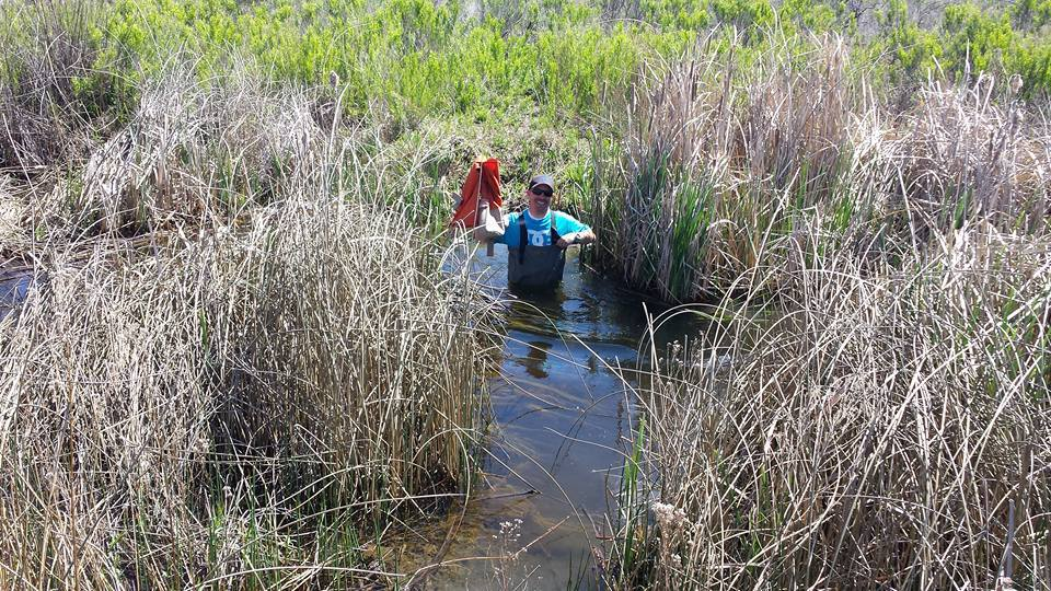 Hydrology Engineering