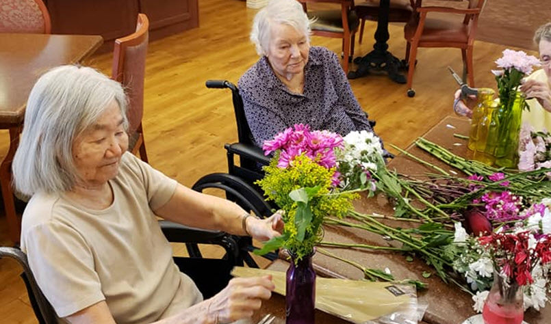 Alzheimer's/Dementia Program