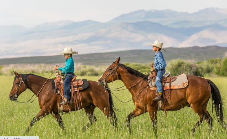 Rawhide