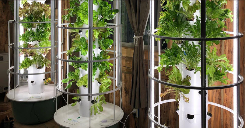 Tower Gardens