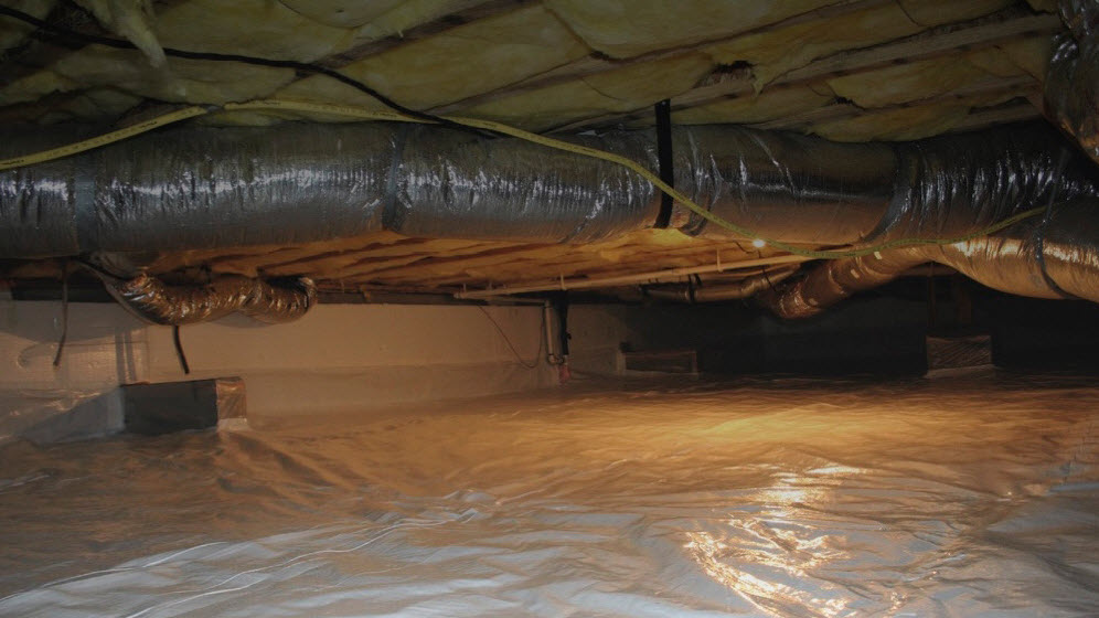 Crawl Space Care