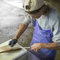 Fish Cleaning