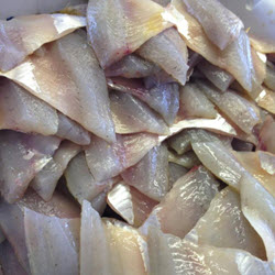 Fillet