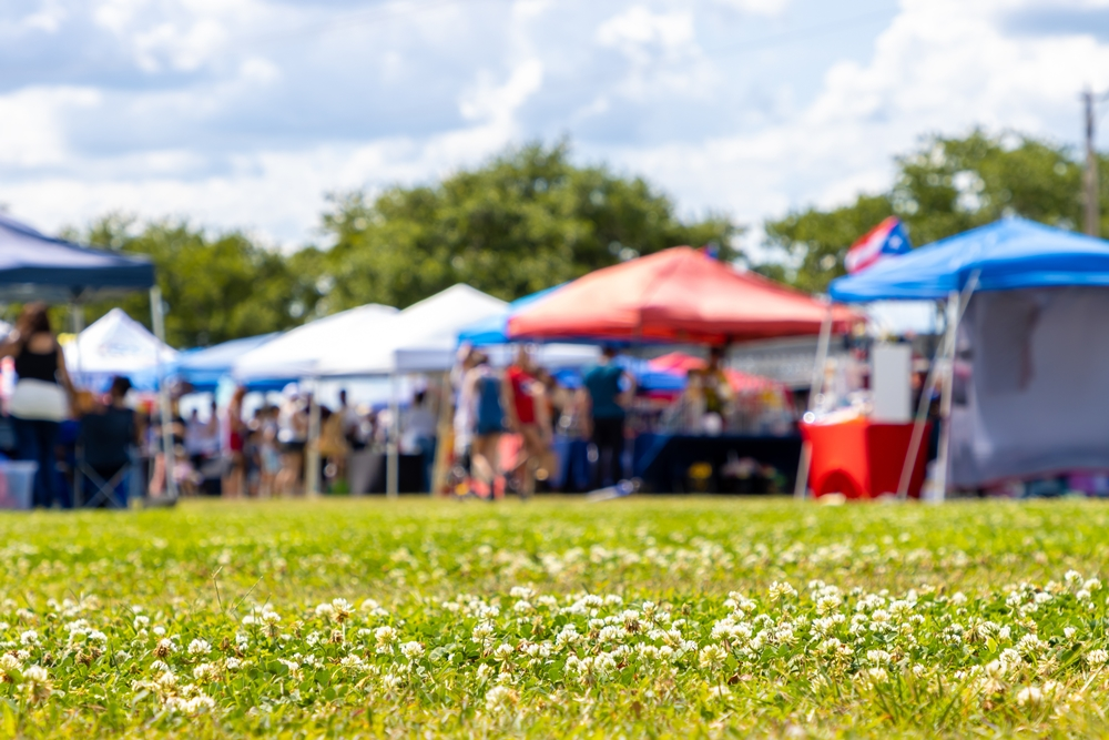 Annual Lamoille Country Fair