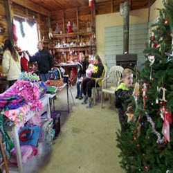 Gift Shop