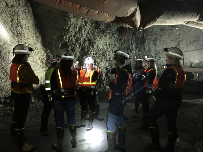 Gold and Copper Mining