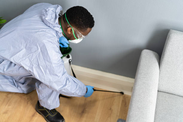 House Sprayed