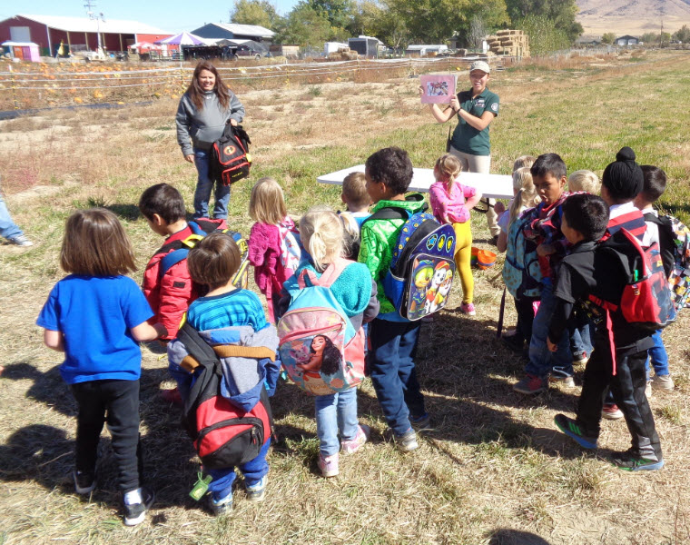 AmeriCorps State Program