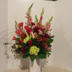 Winter Flowers
