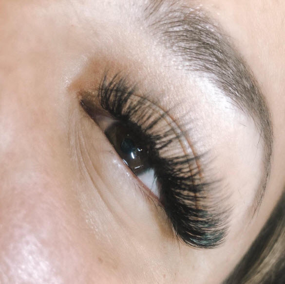 Volume Lashes