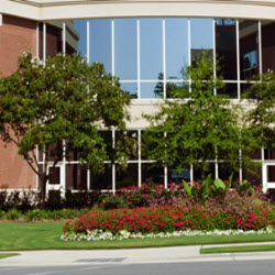 Lawn and Landscaping