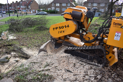 Stump Grinding