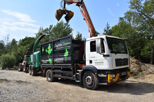 Commercial Tree Services