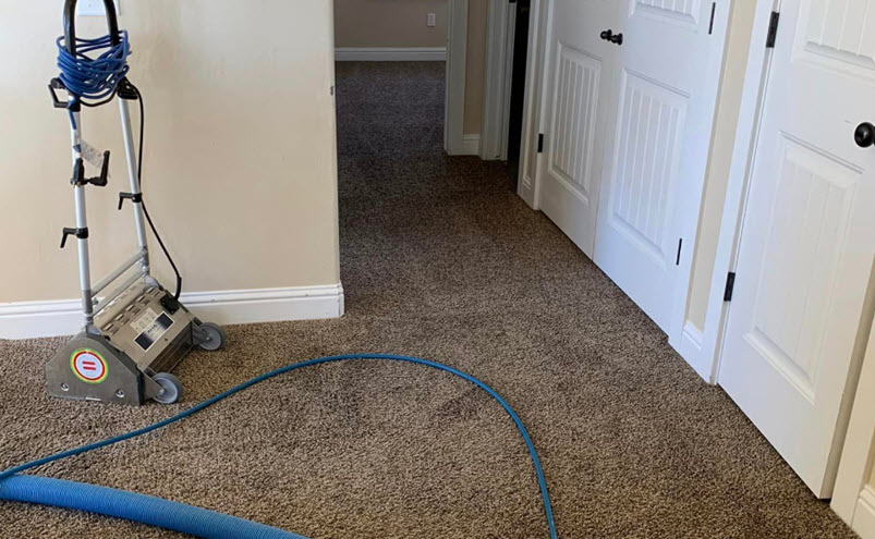 Odor Removal