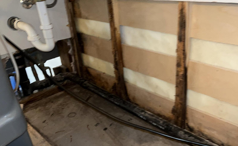 Mold Remediation