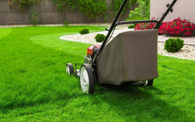 Lawn Care Services