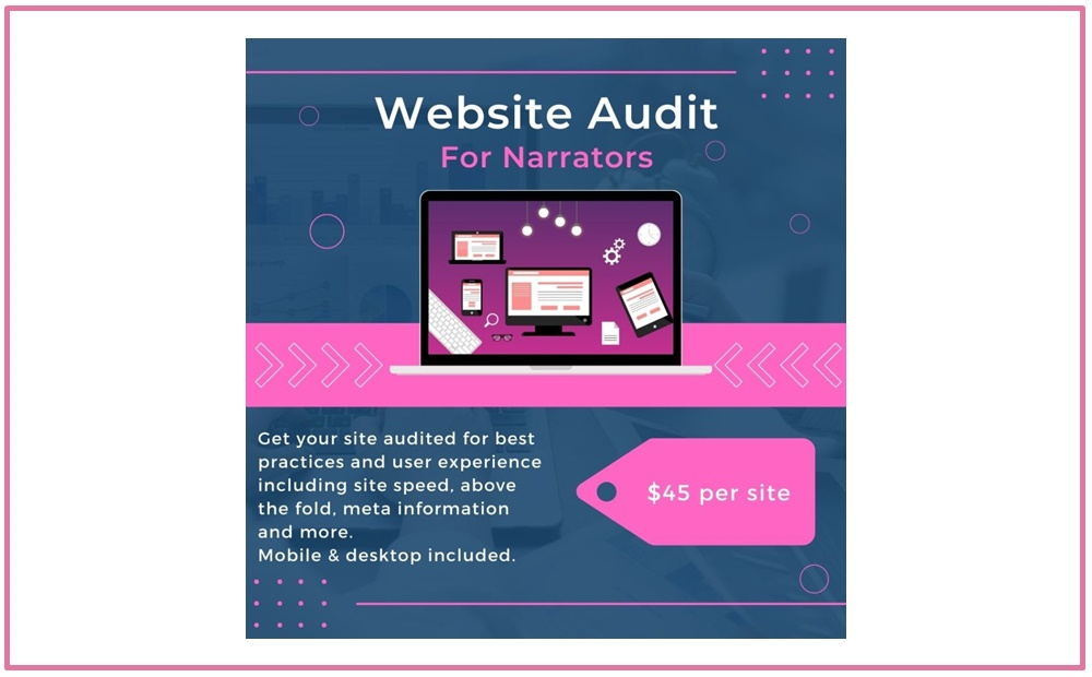 Website Audit