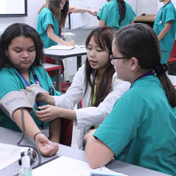 Physician Assistant