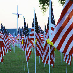 Veterans Overview