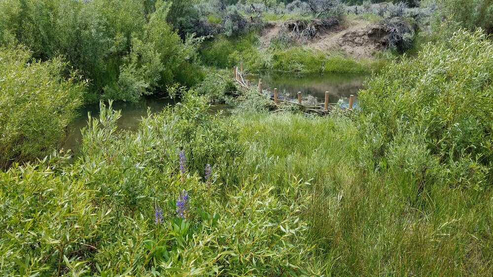 Red Clover Valley Project